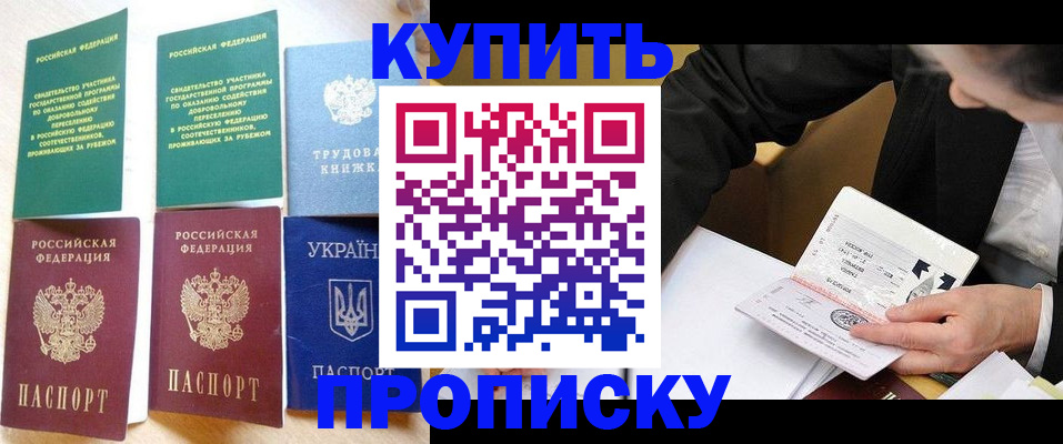 прописка для школы в Красноярске
